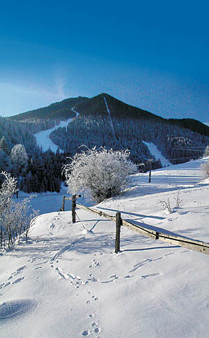 Ski centrum Opalisko Závažná Poruba Tatry